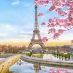 sakura-em-paris